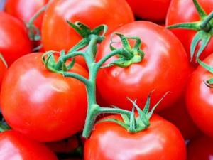​吃西红柿能减肥吗？西红柿怎么吃减肥效果最好