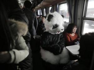 旅客穿熊猫玩偶服扮成大熊猫体验春运遭围观