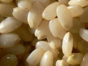 糙米的功效与作用-糙米怎么吃