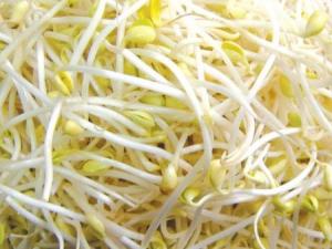 黄豆芽的营养价值-黄豆芽的功效与作用