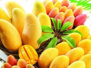 芒果的功效与作用-芒果的营养价值