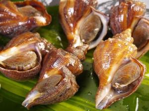 海螺的营养价值-海螺的食疗作用