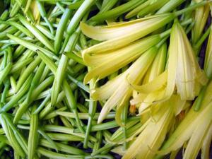 黄花菜的营养价值-黄花菜的功效与作用