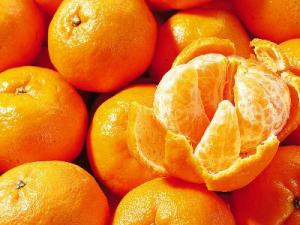 如何挑选柑桔？怎样挑选到好吃的柑橘