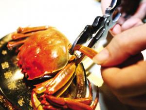 吃螃蟹的工具：用什么工具能轻松吃大闸蟹又不浪费