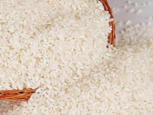 如何防止大米生虫子？防止大米生虫子的做法