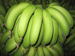 怎样识别催熟香蕉？鉴别催熟香蕉的方法