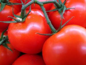 ​如何选购西红柿？什么颜色的番茄最好