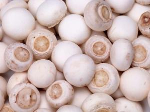 如何辨别漂白蘑菇？漂白蘑菇的鉴别方法