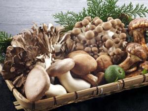 新鲜蘑菇怎么保存？鲜蘑菇的保存方法