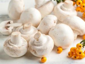 如何挑选新鲜蘑菇？什么样的蘑菇最新鲜
