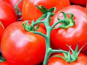 如何挑选新鲜西红柿？怎样识别催熟的西红柿