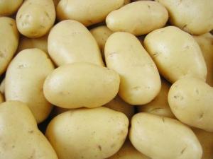 存放土豆不宜用塑料袋-存放土豆的正确方法