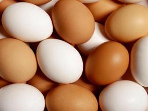 ​宝宝怎样吃鸡蛋最有营养