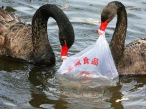 ​乱扔塑料袋对环境有什么危害