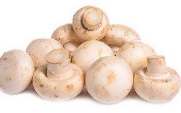 【口蘑】口蘑的功效与作用营养价值_口蘑怎么做好吃_口蘑的做法大全